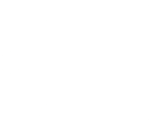 List Icon